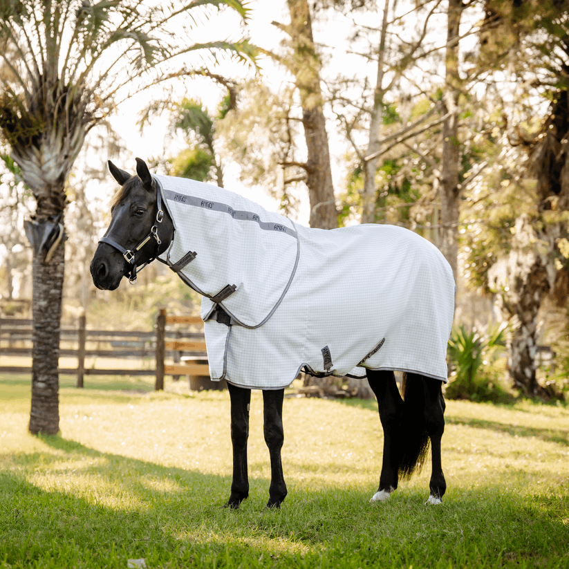 Horsewear – The Cleanest Horse