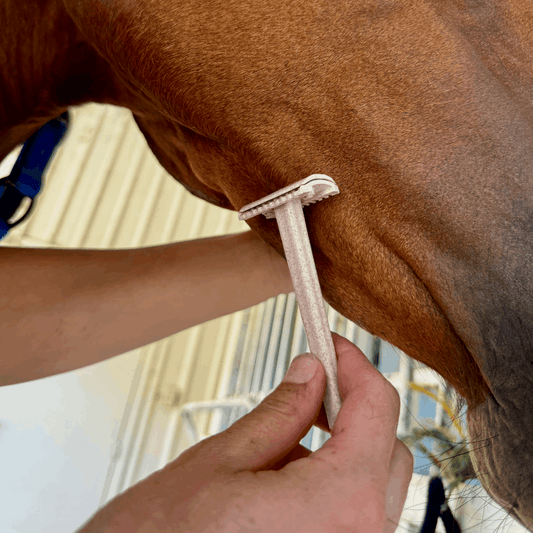 Hairy Pony Double Edge Safety Razors - 3 Pack