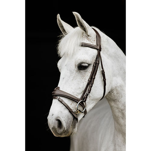 Cavallino Royal Windsor Bridle