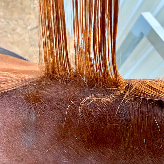 NTR Plait Booster - Synthetic Hair