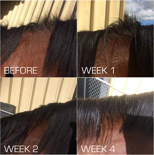 HSE HG Serum – Rapid Hair Repair