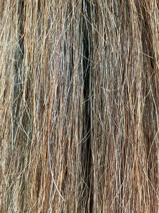 BEST Presented False Tail Standard Length - MIXED