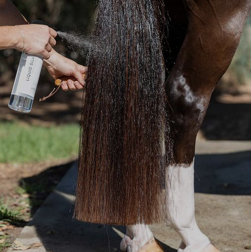 HSE Liquid Silk Hair Polish Spray