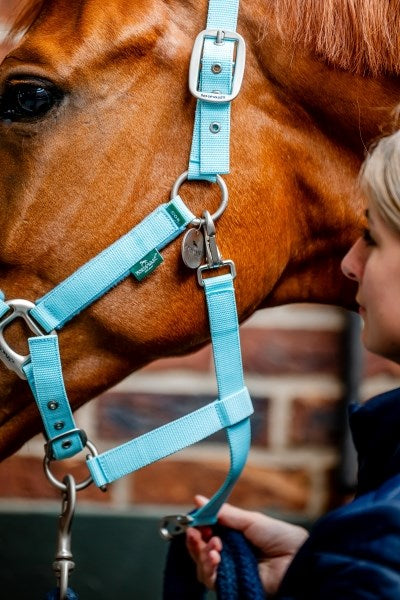 Horseware Signature Grooming Headcollar, Blue Haze