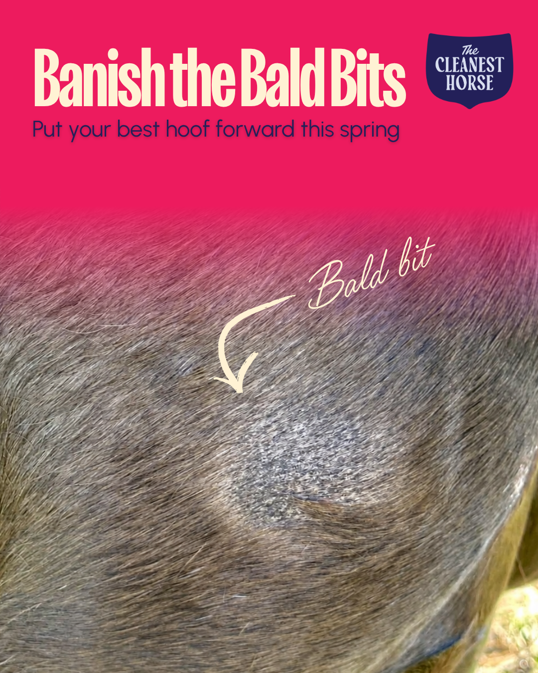 Banish the Bald Bits: Our Guide to Winter Rug Rubs