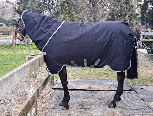 Mule-Tested, Season-Proven: The Horse Rug That Survived It All