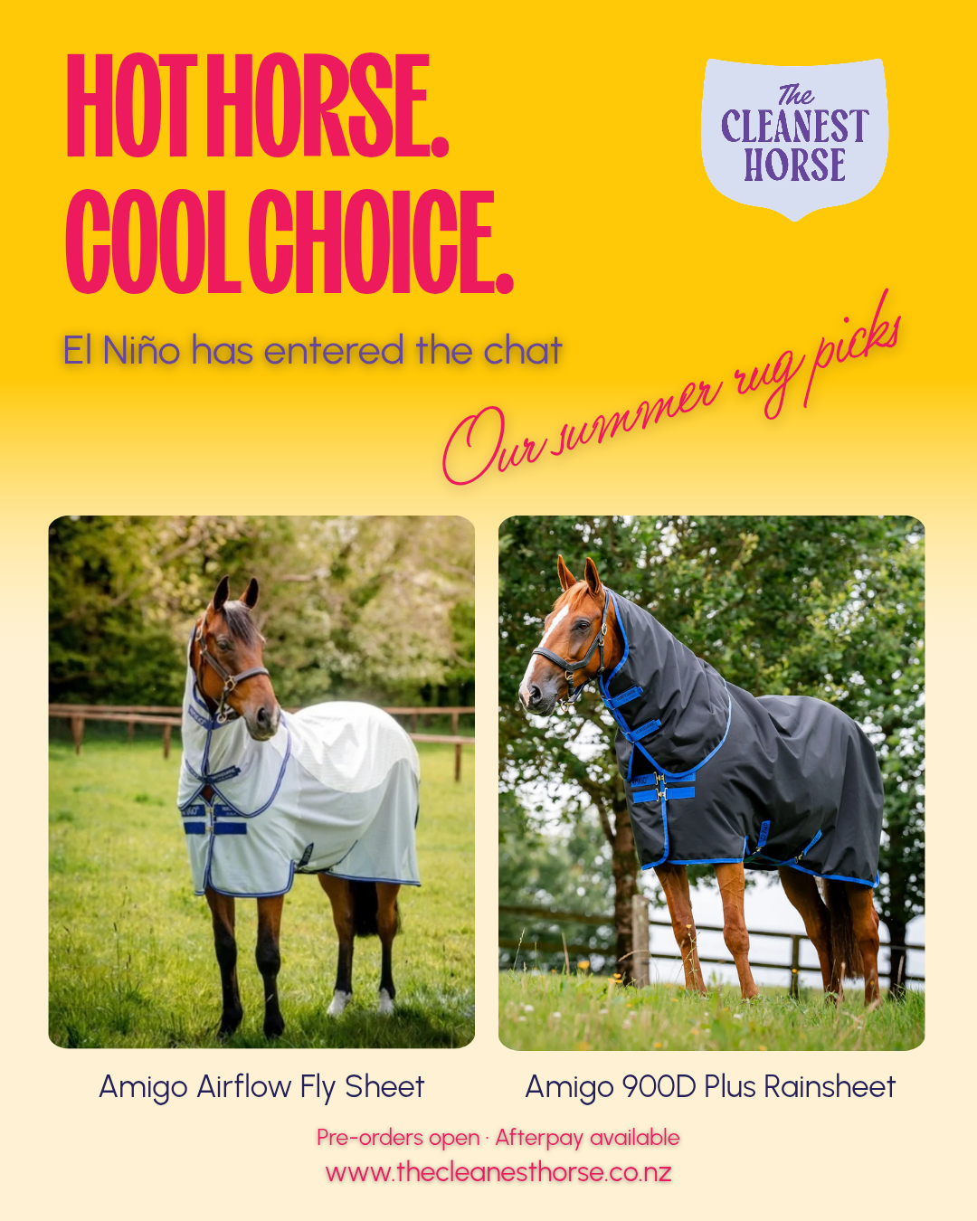 HOT HORSE. COOL CHOICE: Lisa’s love of rain sheets and Sally & Mule’s bug rug