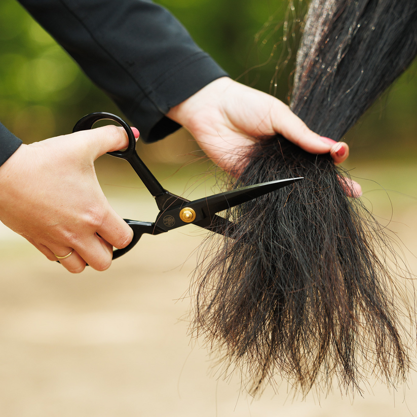 Clipping + Trimming