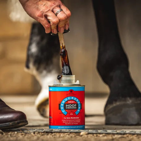 Hoof Care