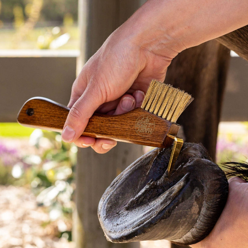 Brushes + Combs + Hoofpicks