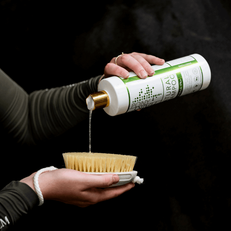 Shampoo + Conditioner