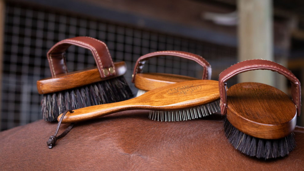 Hairy Pony Original Brush Kit