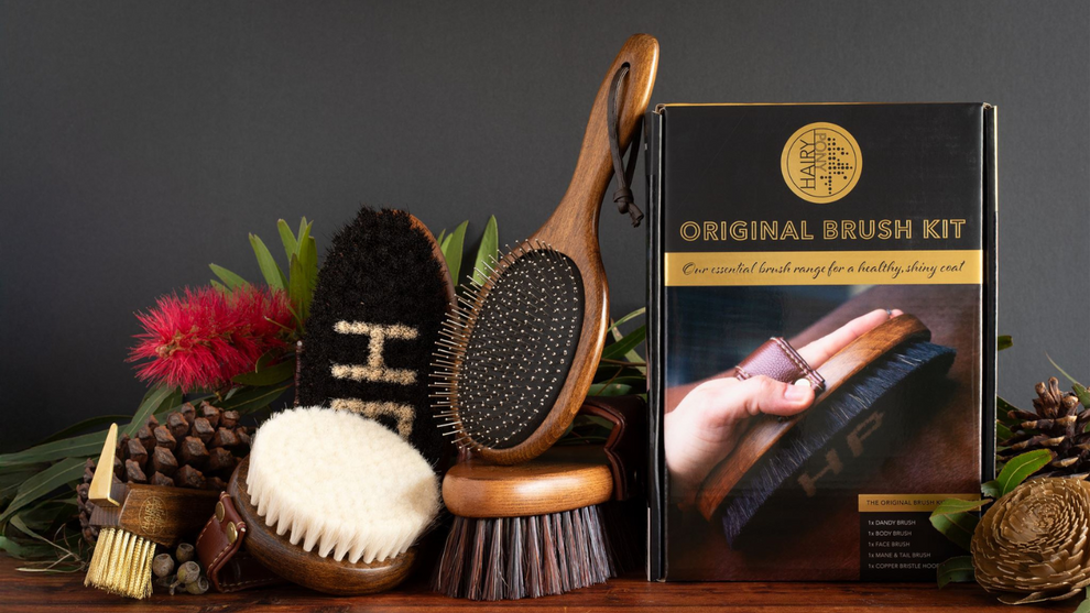 Hairy Pony Original Brush Kit