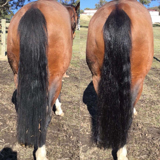 Hairy Pony 2 in 1 Detangle & Shine Spray Kakadu Plum
