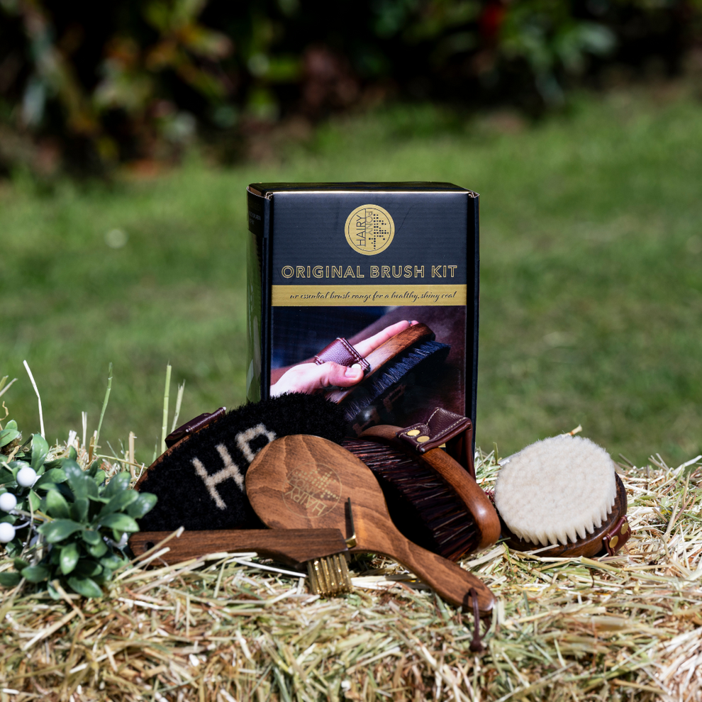 Hairy Pony Original Brush Kit