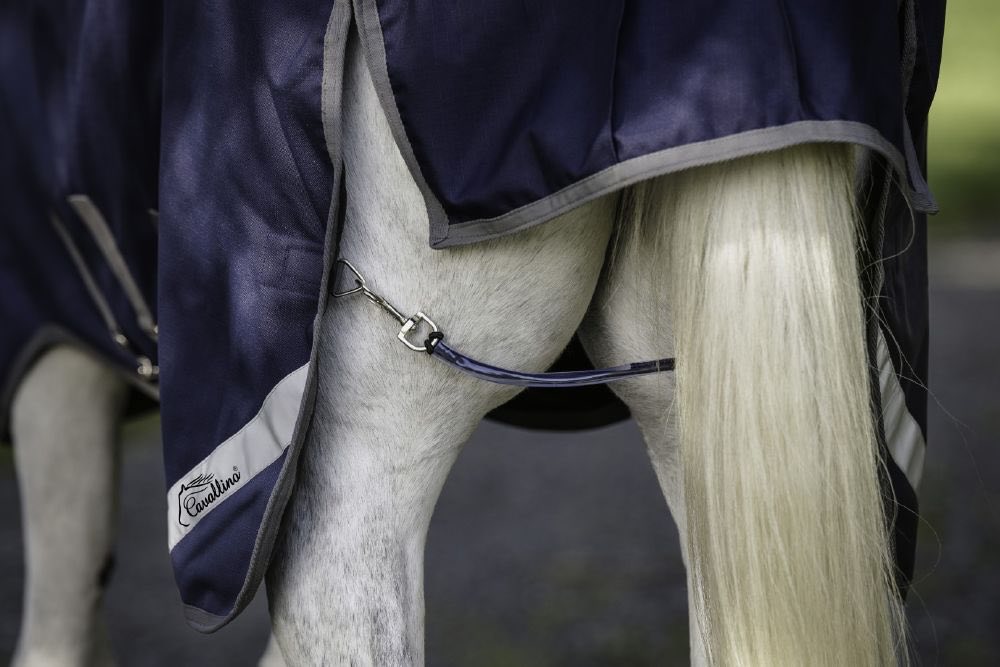 Cavallino Detach-A-Neck Turnout Rug
