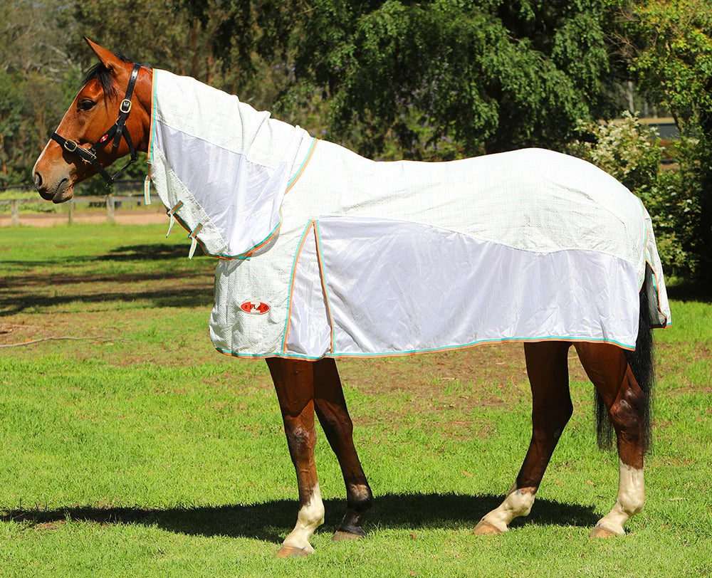 Zilco Econo Hybrid Summer Breeze Combo Rug