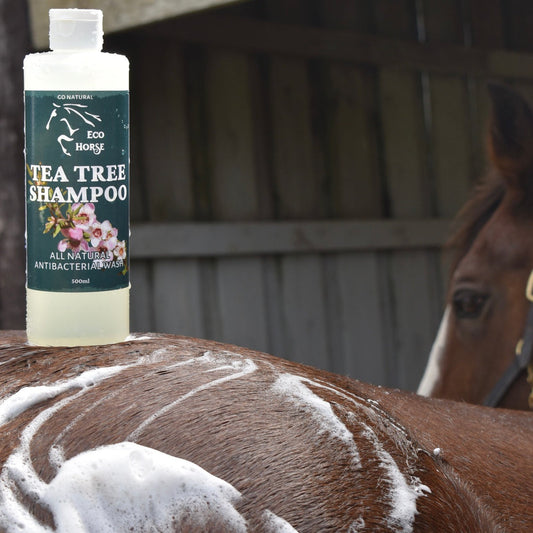 Tea Tree Shampoo 500ml