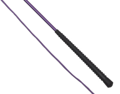 Lunge Whip