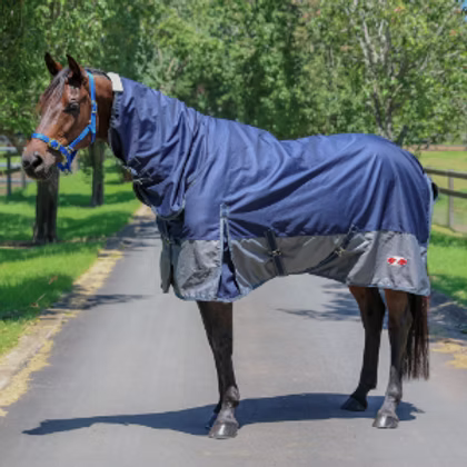 Zilco Woolguard Combo Winter Rug