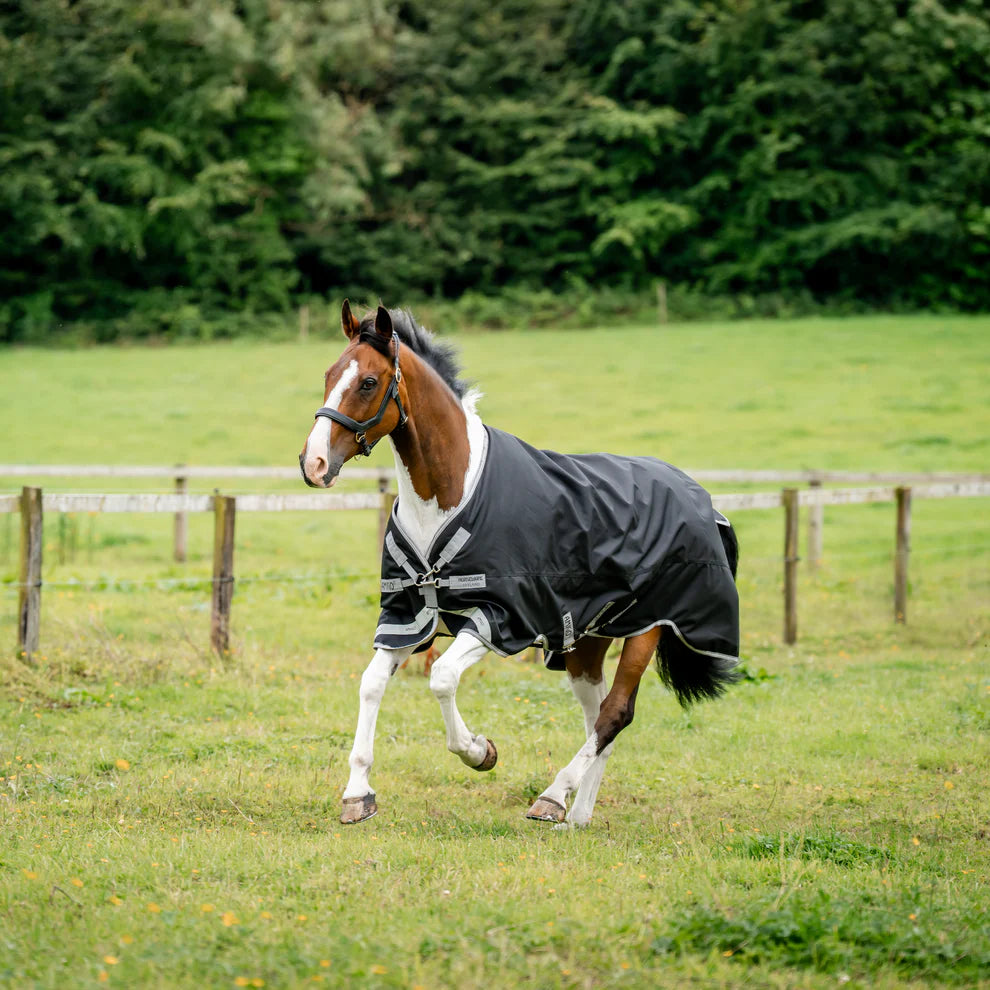 Amigo 1200D XL Turnout RUG 250g - Black w/ Titanium Grey & Silver