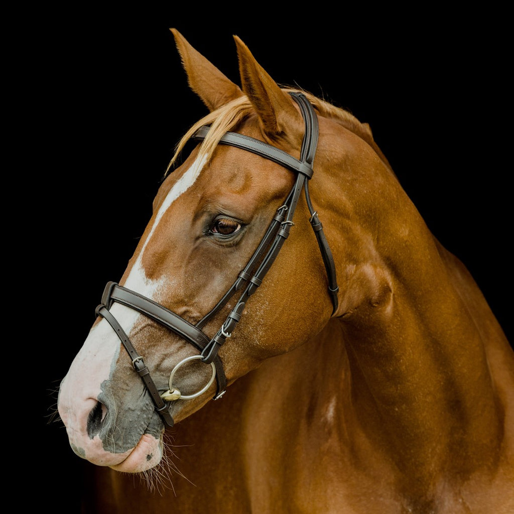 Platinum Series Hanoverian Bridle - Thumbnail 2