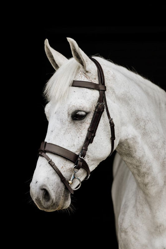Platinum Signature Show Hunter Bridle - Brown