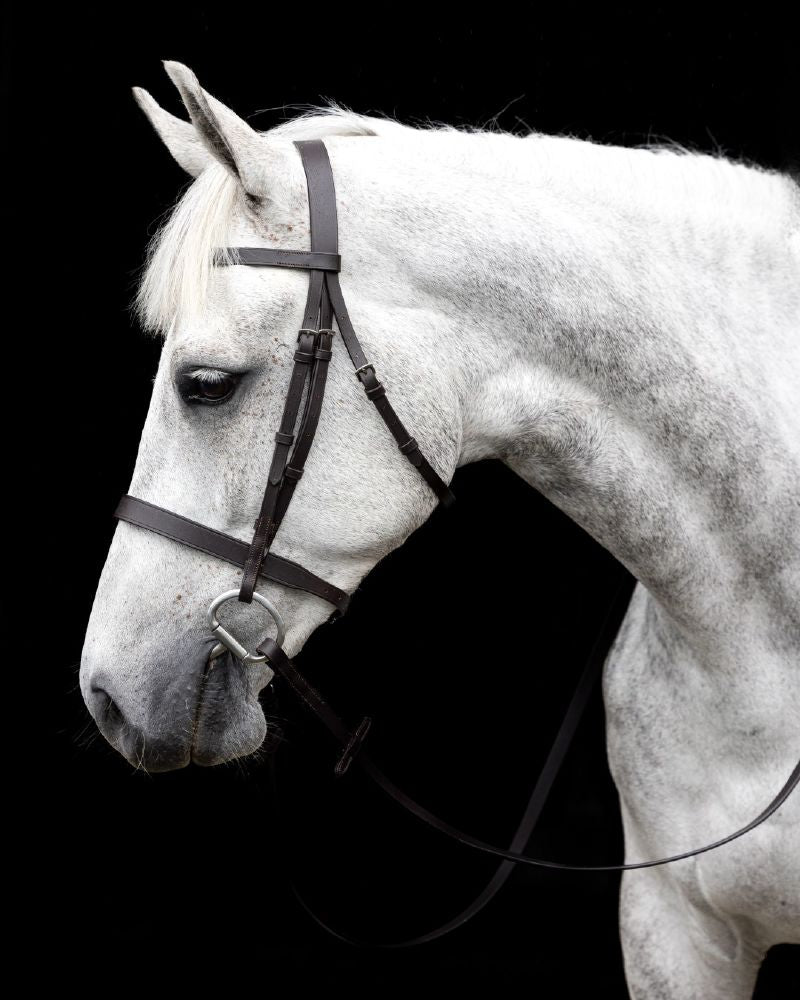 Cavallino Show Bridle - Brown