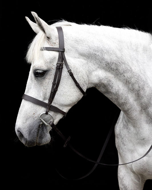 Cavallino Show Bridle - Brown