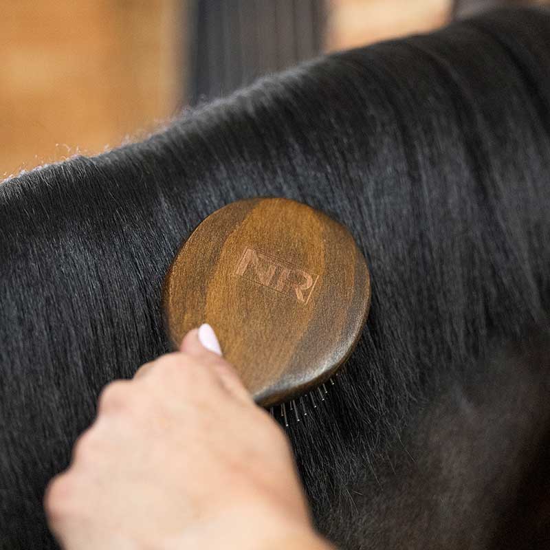 NTR Caress Mane & Tail Brush