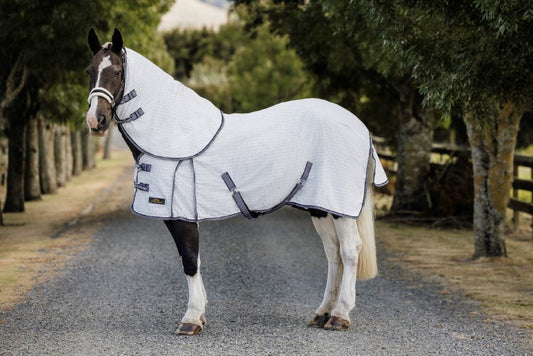 Cavallino York Summer Detach A Neck Rug