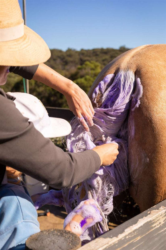 Hairy Pony Double Strength Purple Shampoo