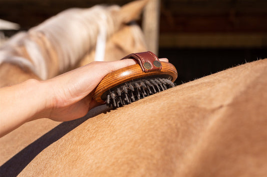 Hairy Pony Rubber Brush