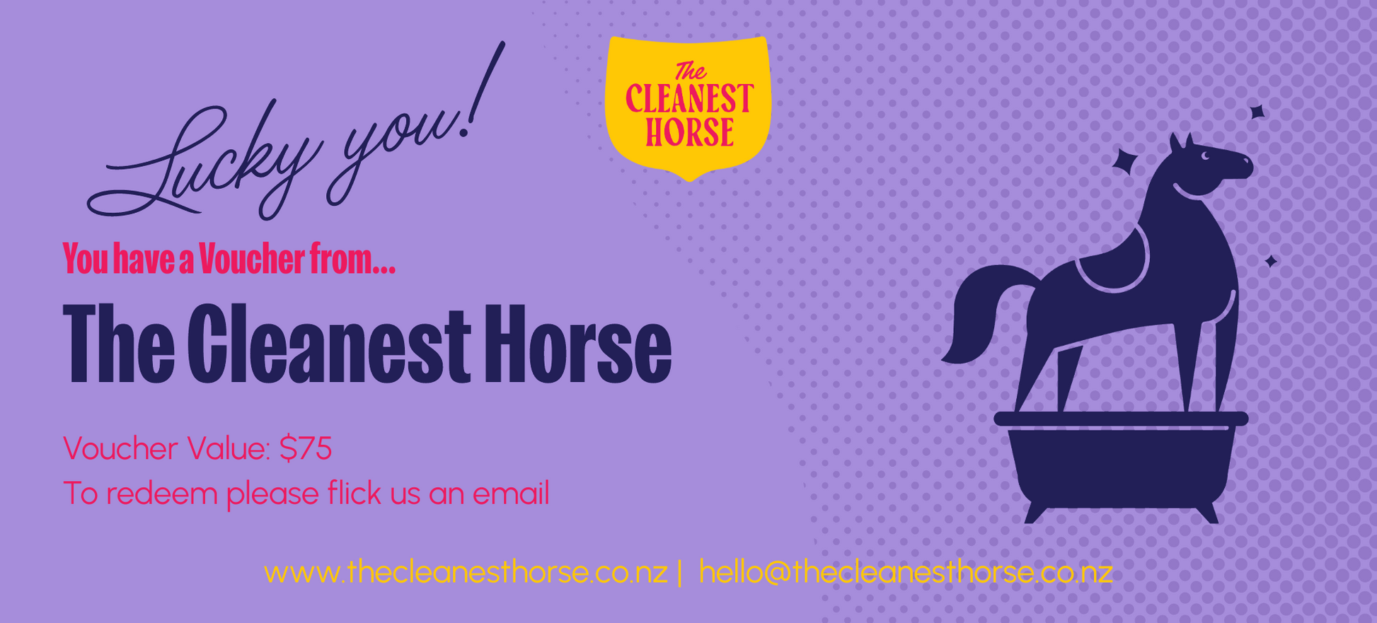 The Cleanest Horse Gift Voucher