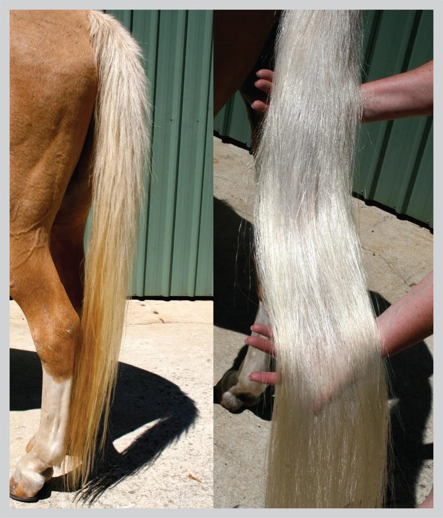 HSE HiTone Silver - Mane & Tail Whitener 125ml