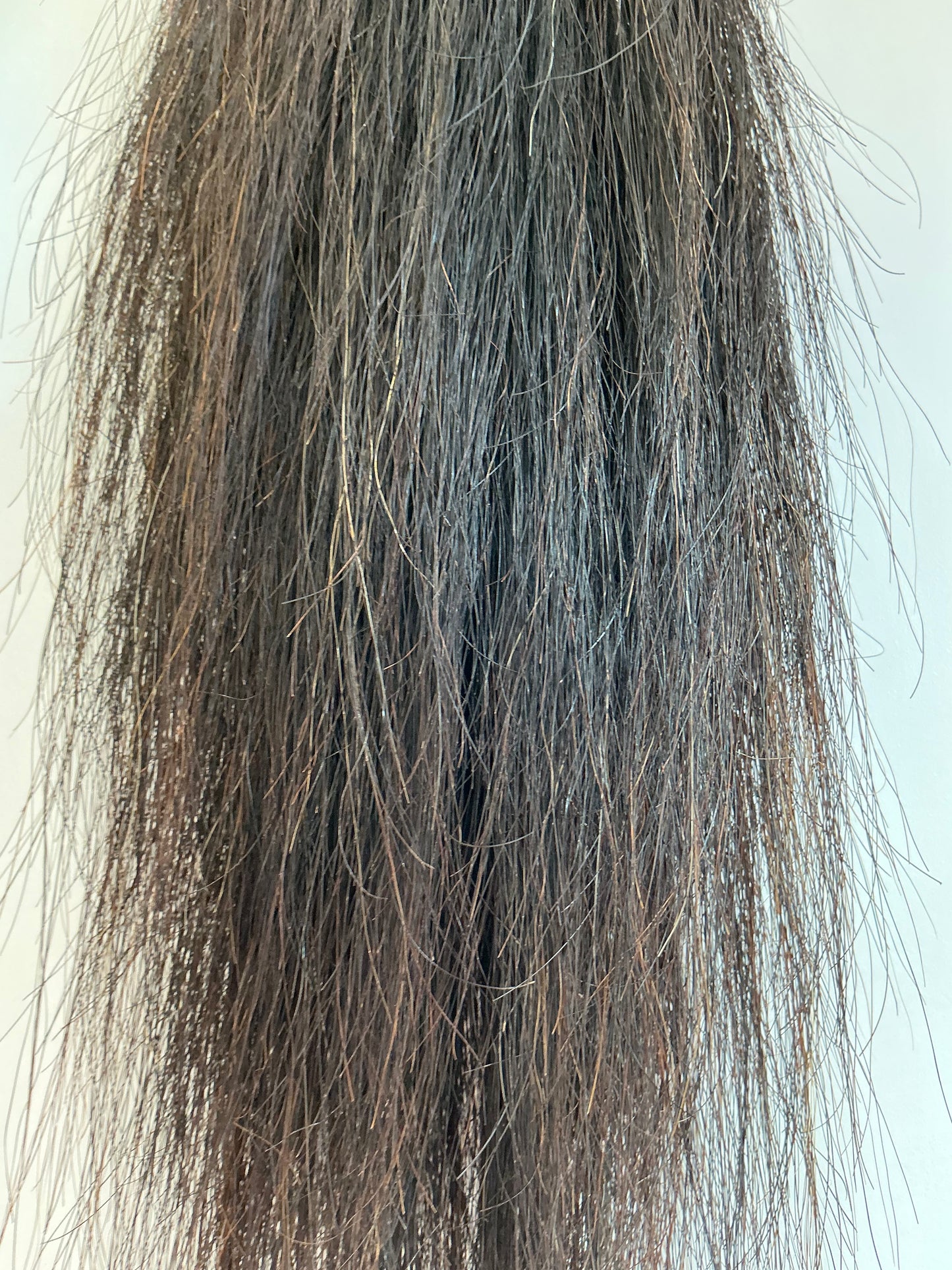 BEST Presented False Tail Standard Length - NATURAL BLACK
