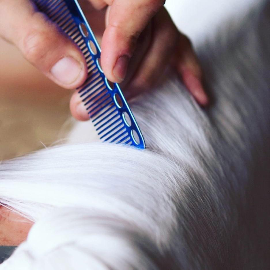 NTR Mane Sectioning Comb