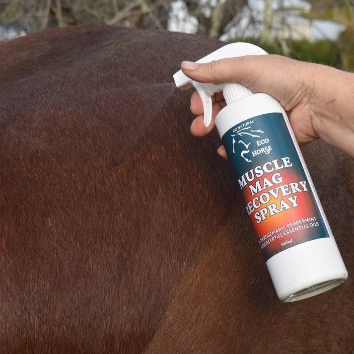 Muscle Mag Recovery Spray 500ml