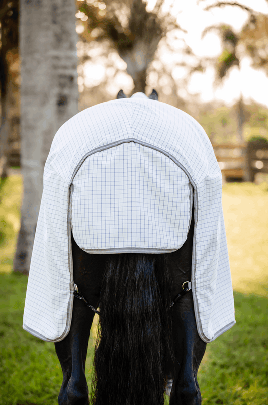 Amigo Summer Sheet Plus