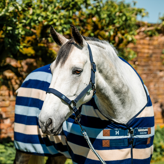 Horseware Newmarket Halter & Lead rope Navy Set