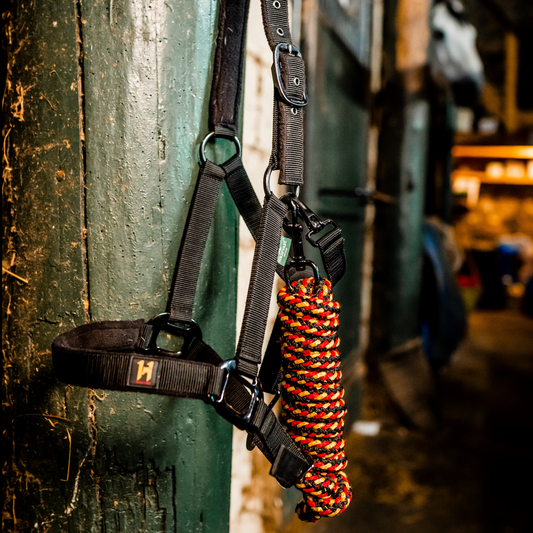 Horseware Newmarket Headcollar & Lead rope Black & Gold