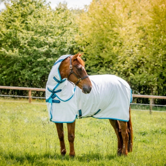 Amigo Summer Sheet - Aussie Alrounder Disc Front