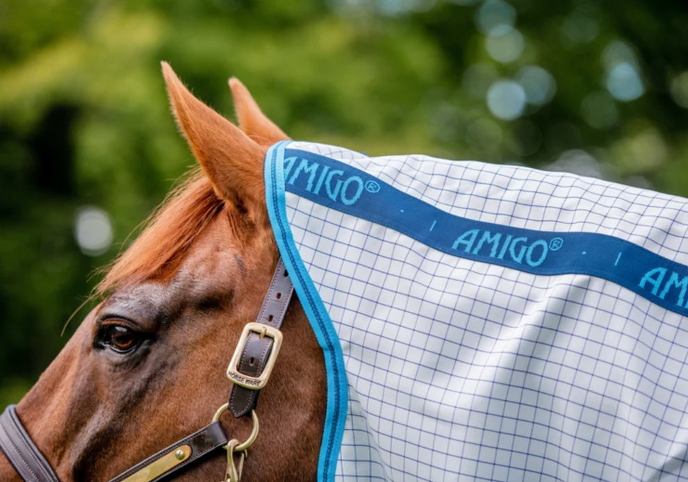 Amigo Summer Sheet - Aussie Alrounder Disc Front