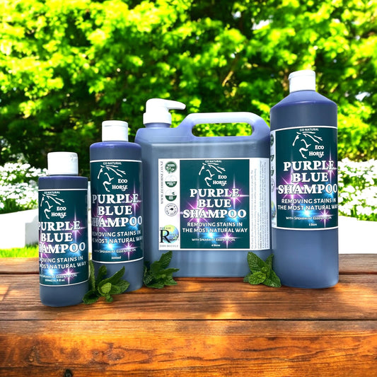 Eco Horse Purple Blue Shampoo