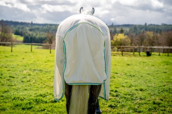 Amigo Bug Buster Plus - Chalk w/Navy & Haze