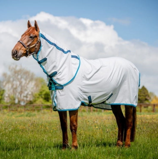 Amigo Summer Sheet - Aussie Alrounder Disc Front