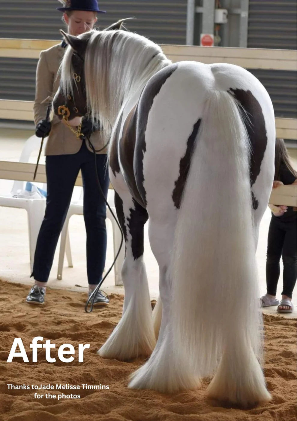 Hairy Pony Horse Purple Hair Repair