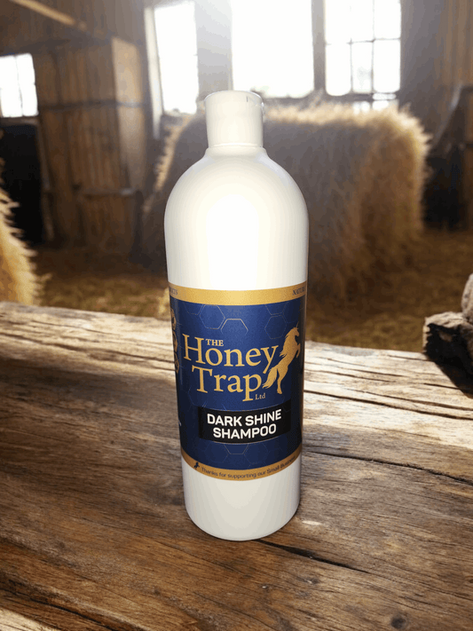 The Honey Trap Dark Shine Shampoo